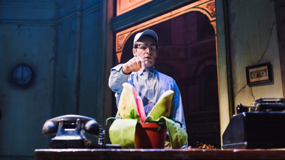 A man wearing glasses and a cap stands in an old-fashioned office, pointing at a colorful plant in a pot on a desk. A vintage telephone and typewriter are visible in the foreground.